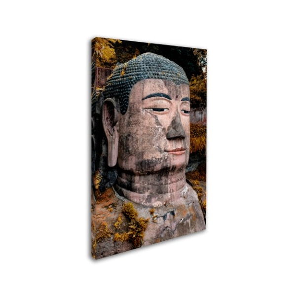 Philippe Hugonnard 'Giant Buddha VI' Canvas Art,22x32